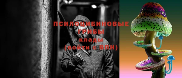 ПСИЛОЦИБИНОВЫЕ ГРИБЫ Михайловка