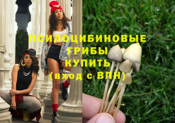 дмт Михайлов