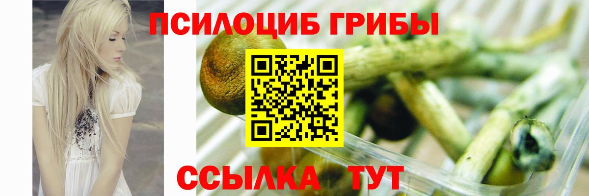 Псилоцибиновые грибы Magic Shrooms  Вход с VPN  Тольятти 