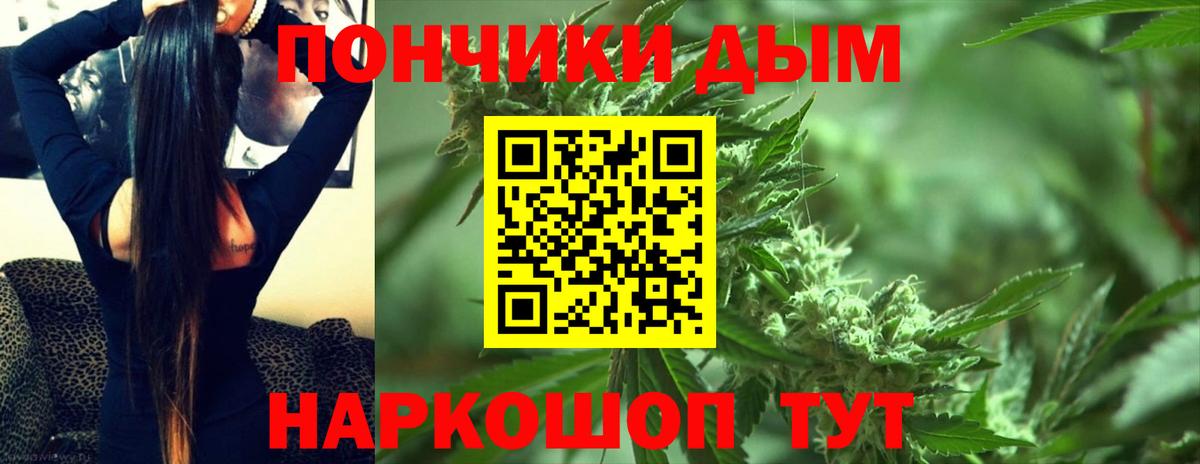 Конопля сатива  Конопля марихуана  Каннабис White Widow  Тольятти 
